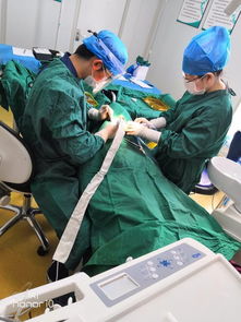 十年磨一劍 呼市至美口腔獲國內外專家認可，引領口腔診療服務新標準